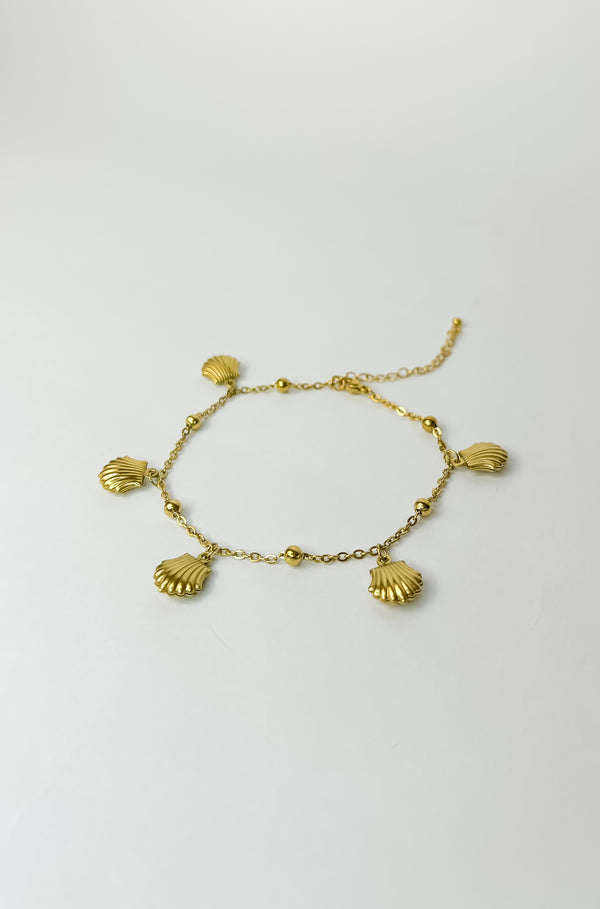 Seashell Disc Anklet